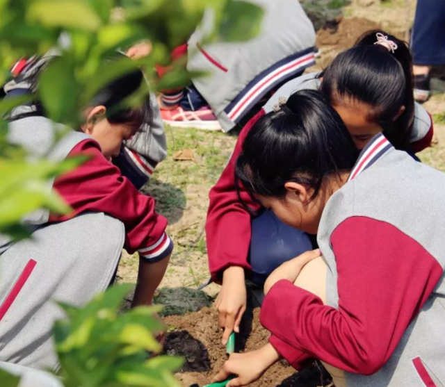 教研同步继续拓宽学子升学渠道助力广阔学子圆梦